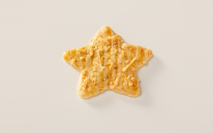 Gouda kerststerren Gouda kerststerren